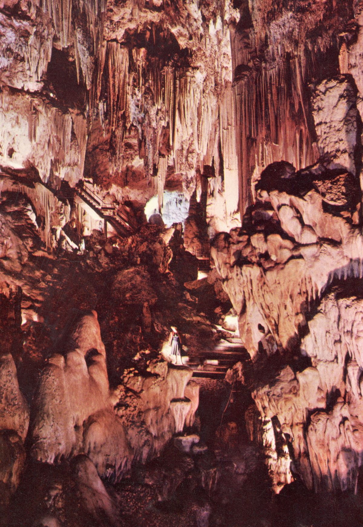 Hommage an eine Anonyme