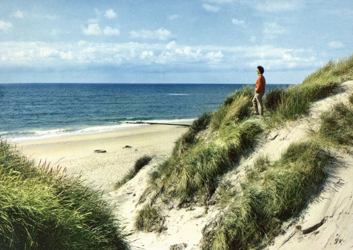 Hommage an eine Anonyme