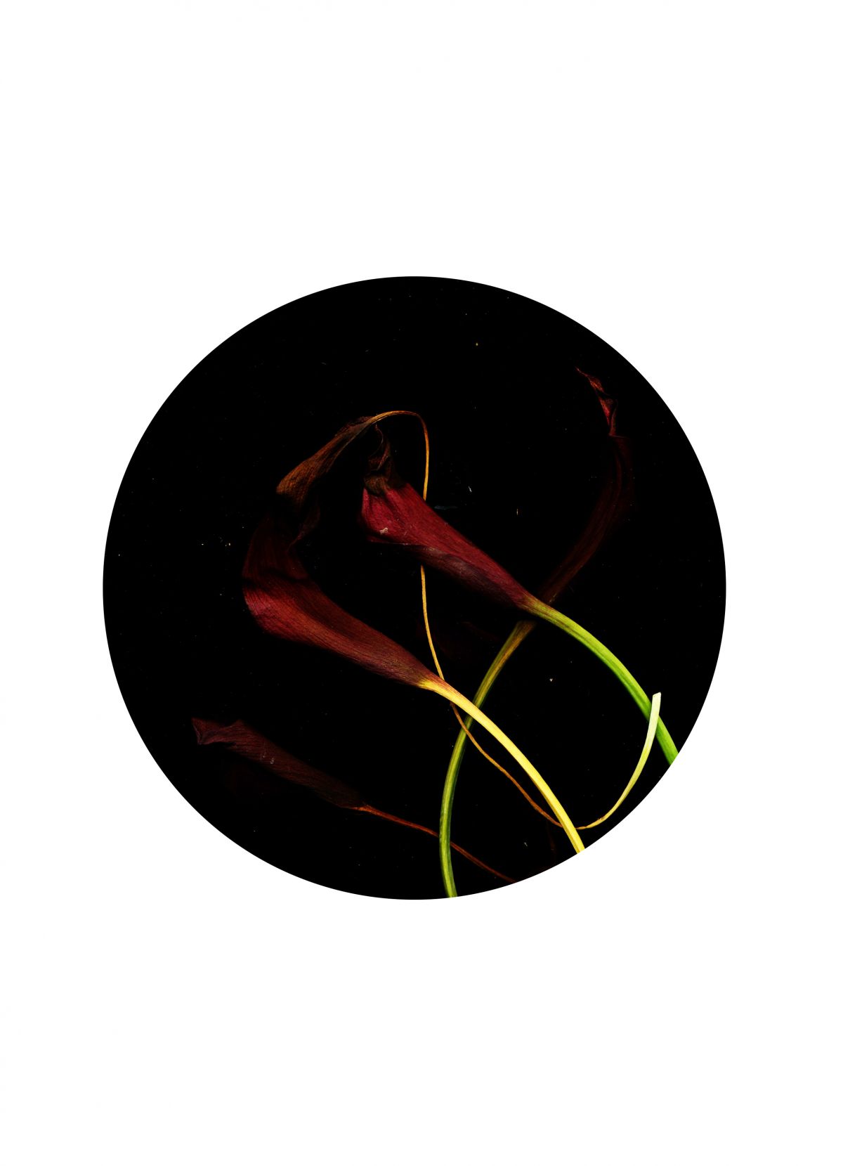 Skizzen-The Day I Died