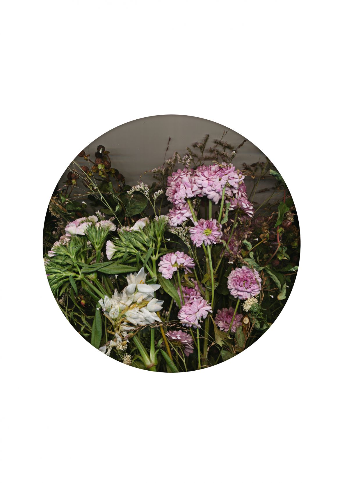 Skizzen-The Day I Died