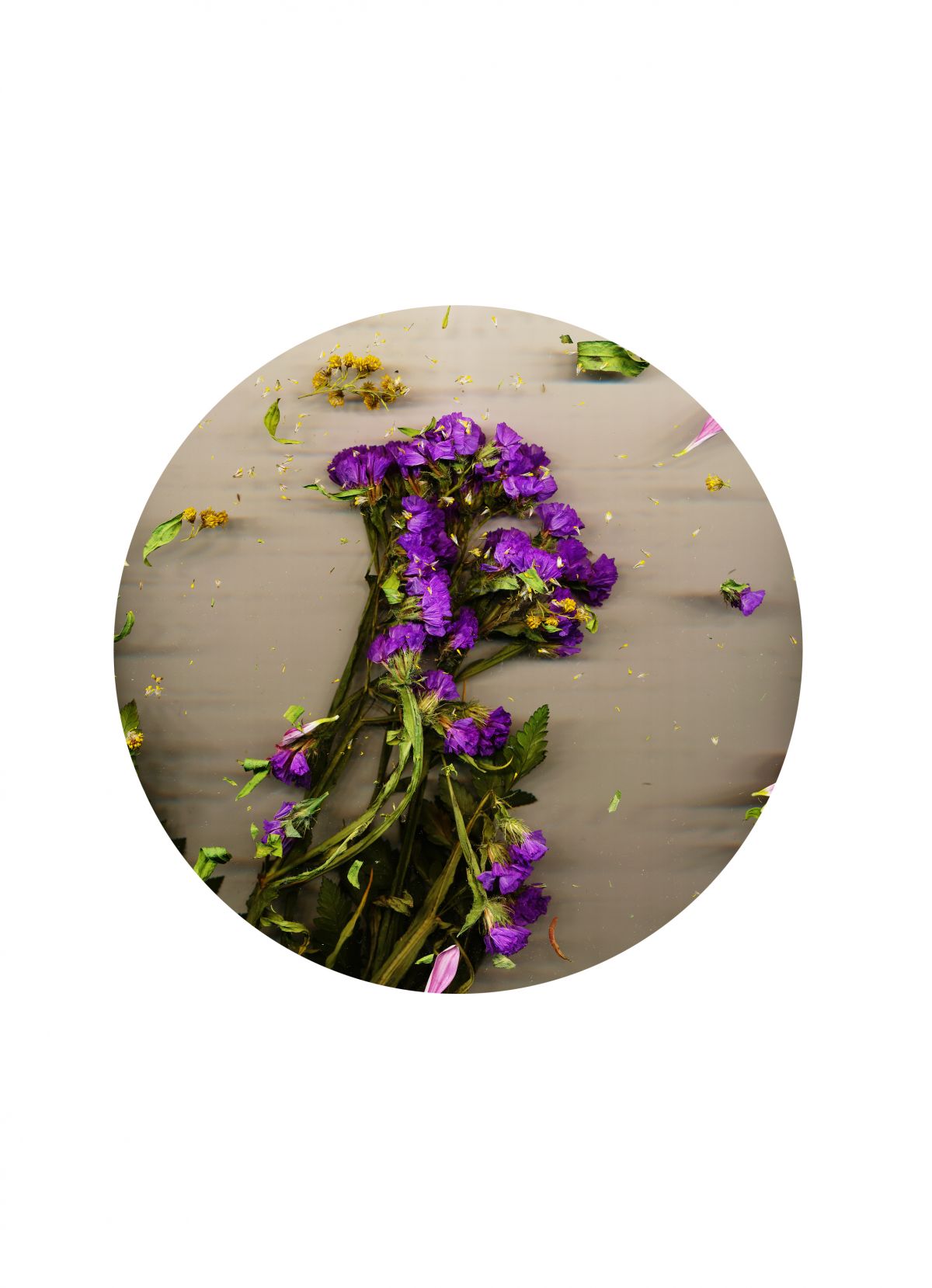 Skizzen-The Day I Died