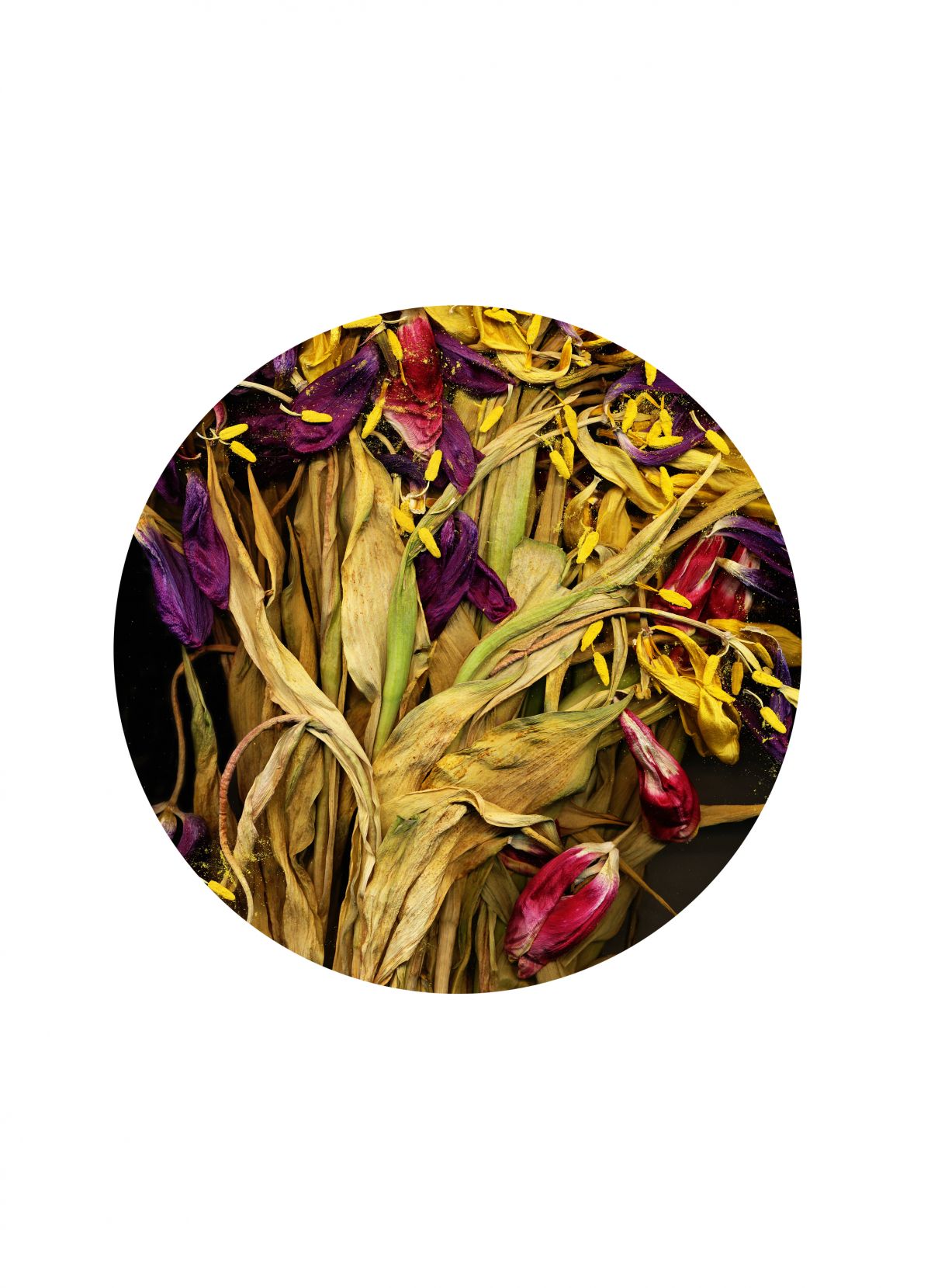 Skizzen-The Day I Died