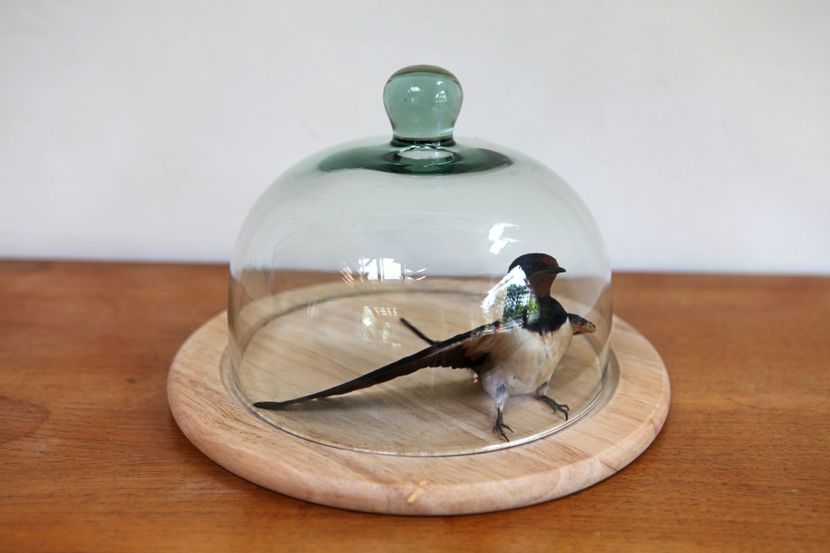 Stillstand in Dunkelblau